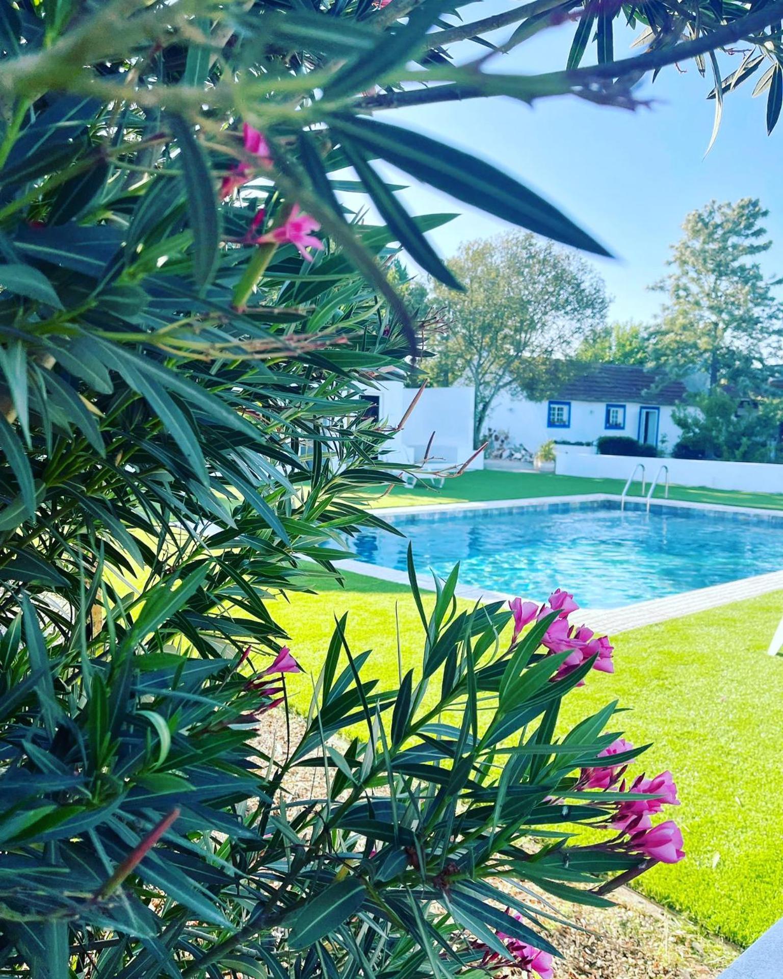 Na Quinta- Alojamento Rural Com Piscina De Agua Salgada Poceirao Eksteriør billede