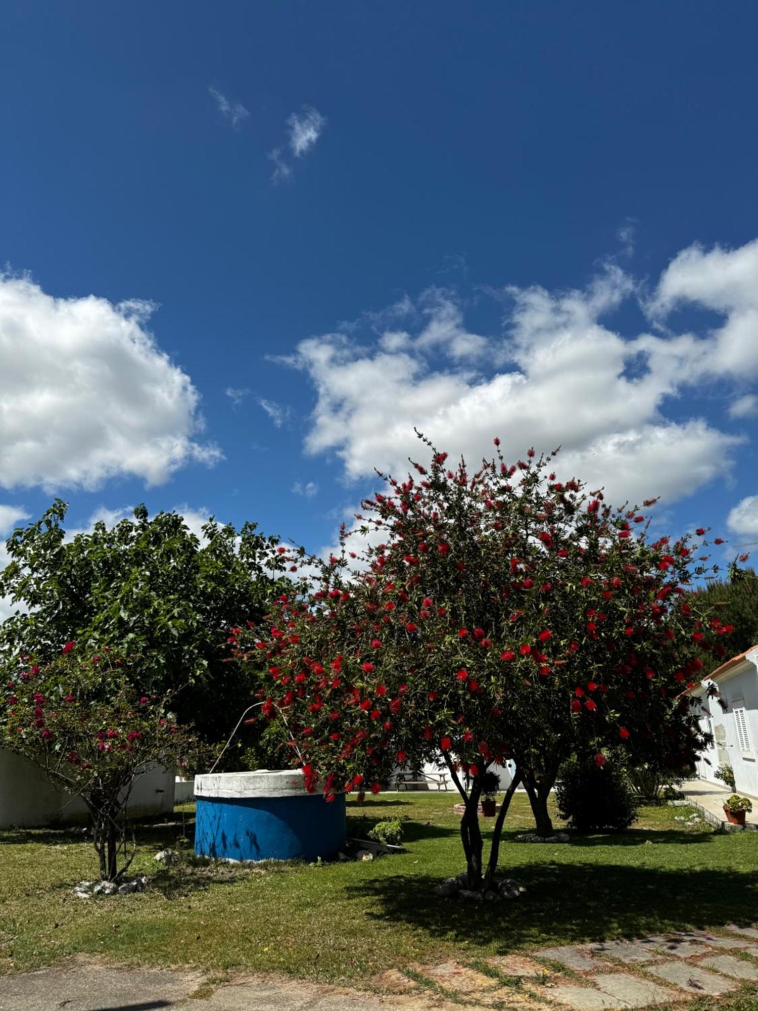 Na Quinta- Alojamento Rural Com Piscina De Agua Salgada Poceirao Eksteriør billede