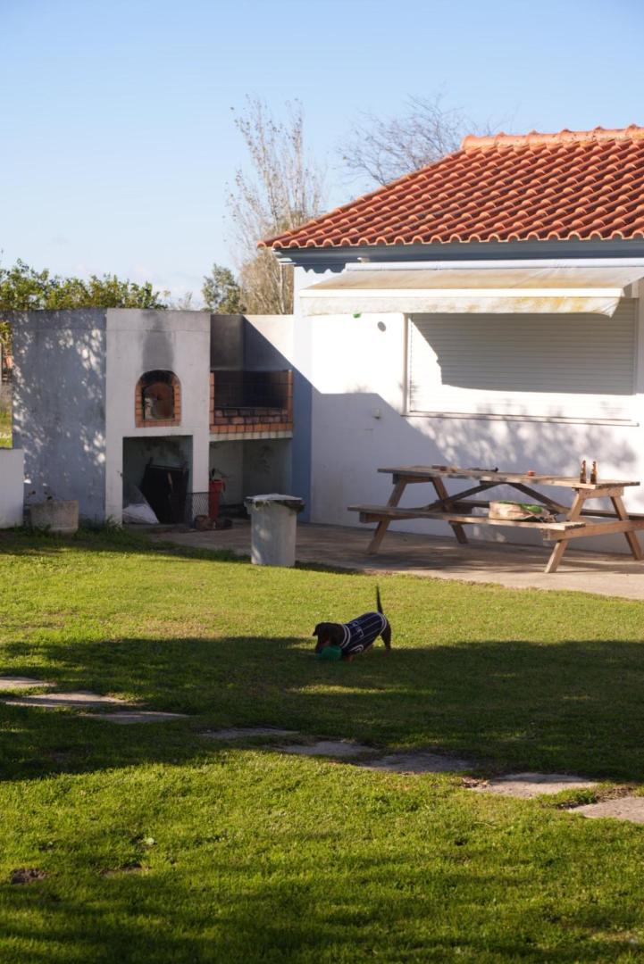 Na Quinta- Alojamento Rural Com Piscina De Agua Salgada Poceirao Eksteriør billede